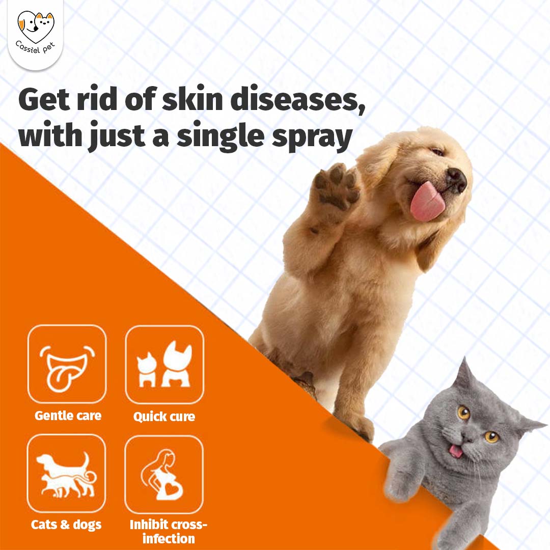 Pet Hot Spot Spray